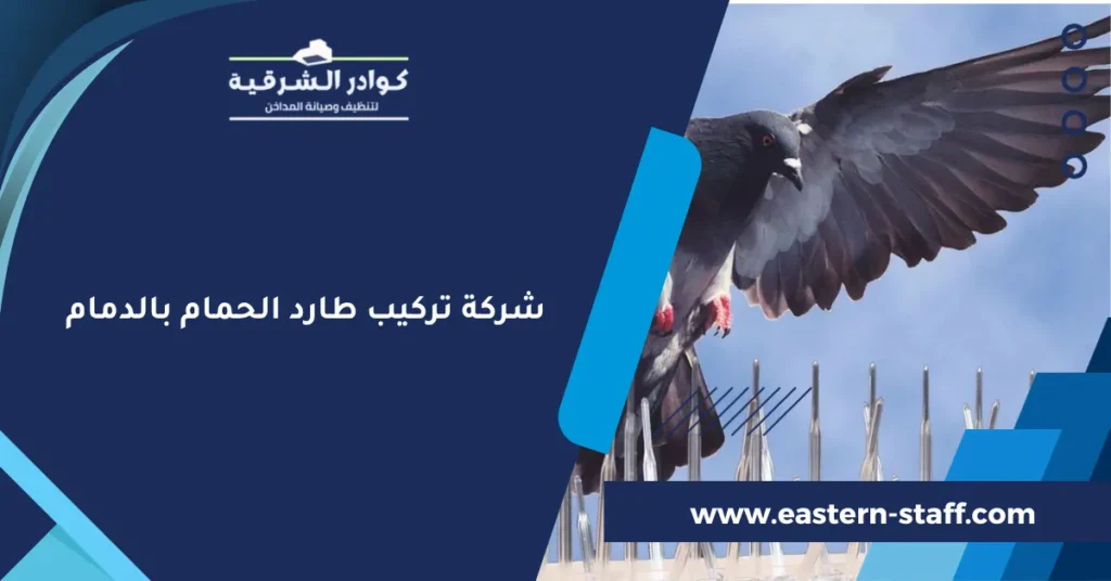 شركة تركيب طارد الحمام بالدمام