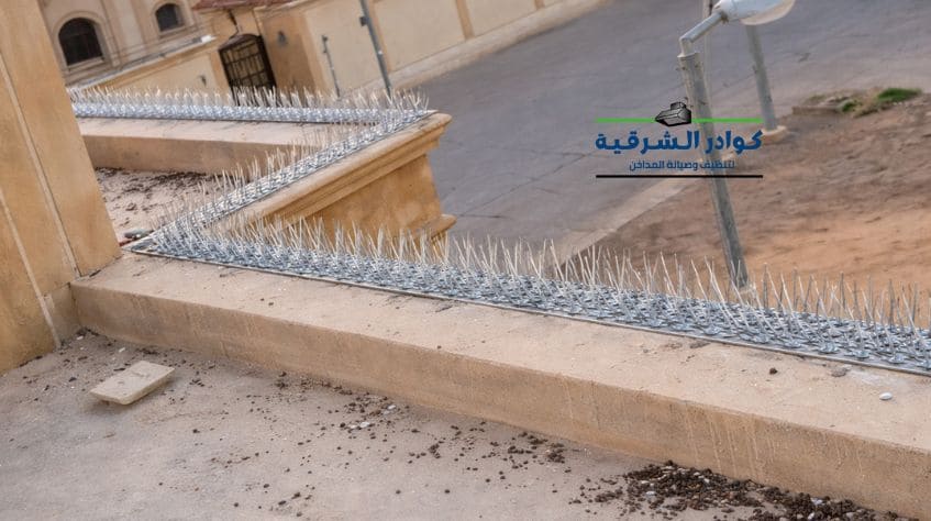 افضل شركة طارد حمام بالرياض